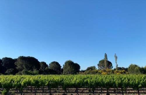 Domazan Casa | Chez Lydia - Face vignoble, Idéal famille, Billard