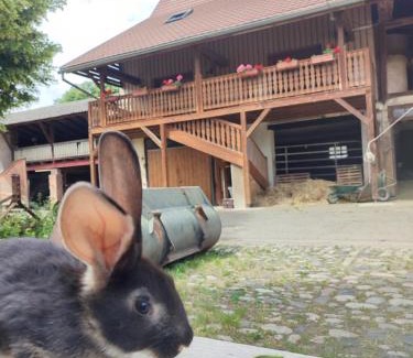 Horbourg-Wihr Apartamento | Chez Marguerite Gîtes à la ferme