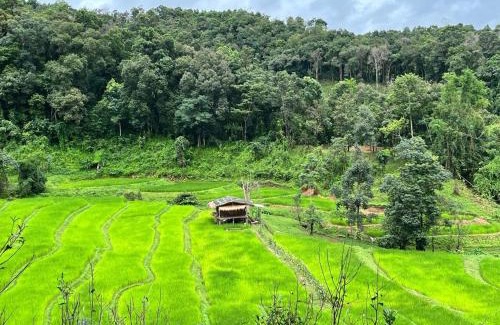 Samoeng Casa | Chibacall ชิบะคอล, Chiang Mai Hideaway Homestay