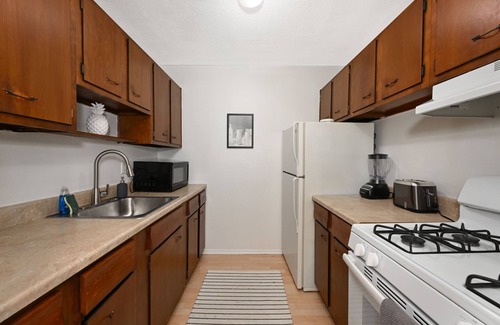 Mentor Apartamento | Chic 1Bd Excellent for Professionals
