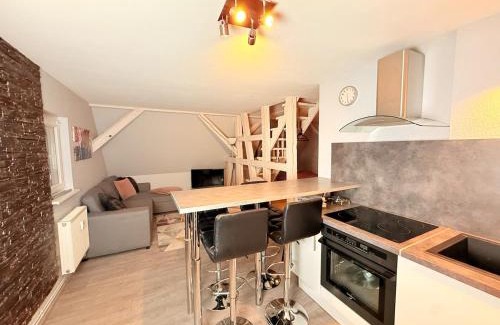 Haguenau Apartamento | Chic&Cosy - Vue exceptionnelle - Centre Haguenau
