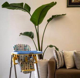 Cite El Houda Apartamento | Chic & Cozy Retreat in Agadir