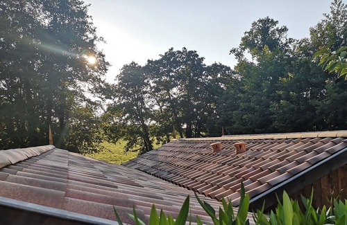 Saint-Sulpice-et-Cameyrac Cabaña | Chic and romantic cabin between Bordeaux and Saint Emilion "MUSCADELLE"