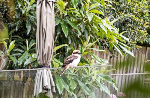 Pymble Casa | Chic Single Room - Convenient Spot at Pymble - Shared Bathroom