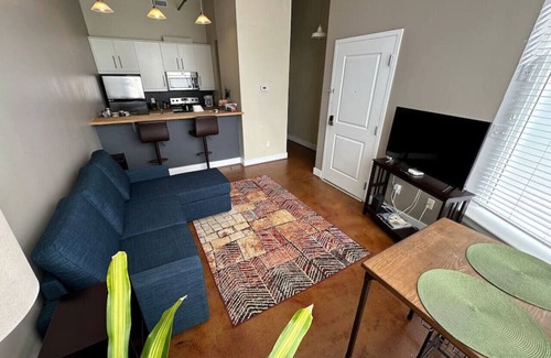 Roanoke Apartamento | Ground Floor 1BR Apartment: King Bed| Rooftop Views| Walkable