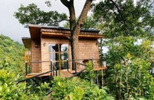 Tam Dao Chalet De Esquí | Chillout Village - Homestay Tam Đảo