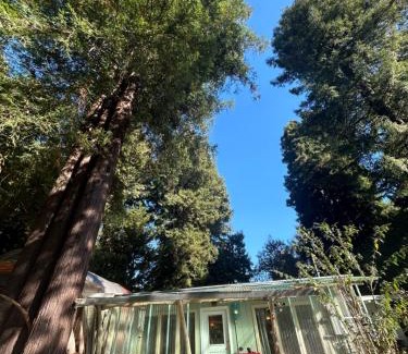 Almont Casa | Chillshack