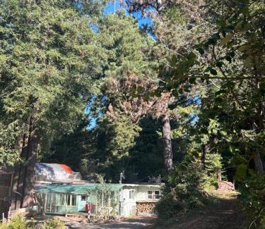Almont Casa | Chillshack
