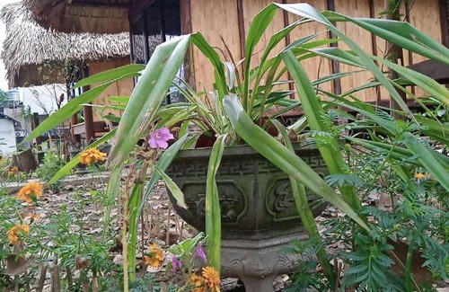 Chiem Hoa Apartamento | Chin house