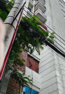 Uttara Casa | China apartment