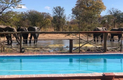 Chobe District Cabina | Chobe Mupani Forest Lodge
