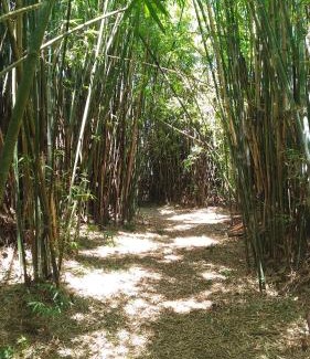Sapiranga Otro | Choupana das Araucárias