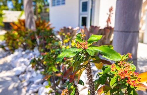 Ensenada Casa | Chris Guest House