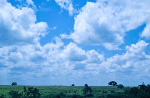 Ongata Rongai Casa | Chris's at the Park