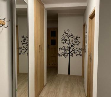 Biala Podlaska Apartamento | Chrobrego 4