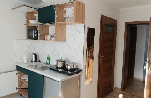 Tylicz Apartamento | Chruścielówka ap nr 4