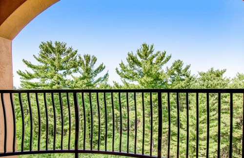 Wisconsin Dells Hotel | Chula Vista Condo Unit 2647