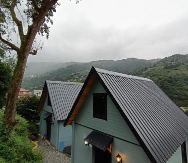 Ardesen Hotel | CİLEMONA SUİT BUNGALOWS