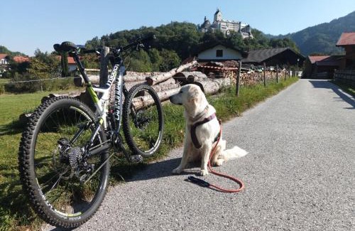 Aschau im Chiemgau Apartamento | ciao-aschau Gschwendtnerhof Ap26 Faust
