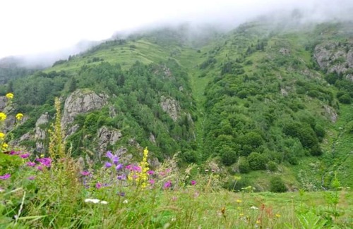 Camlihemsin Casa | cicekli pansiyon camping