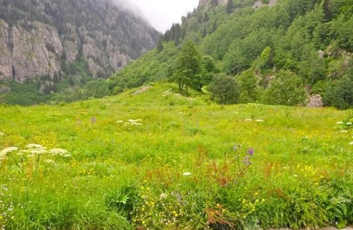 Camlihemsin Casa | cicekli pansiyon camping