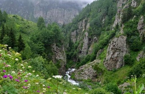 Camlihemsin Casa | cicekli pansiyon camping