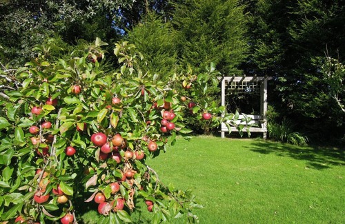 High Street Cabaña | Cider Barn - Lanjeth