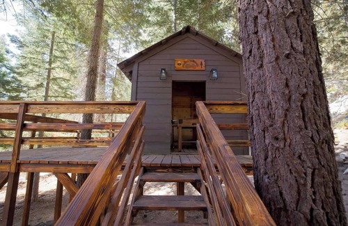 Ponderosa Cabina | Cielo Blanco- First Responder Cabin w Treehouse