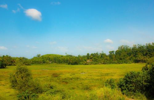 Malimbada Hotel | Cieloblu In Hotel Matara