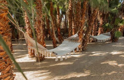 Todos Santos Casa | Cien Palmas- Authentic Mexican Casita 3 -Downtown