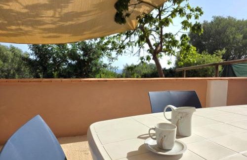 Marina Di Camerota Apartamento | Cilento Vista Mare