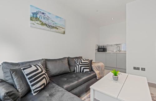 Roath Apartamento | Cinema Studio Room with Spa Facilities For Couples