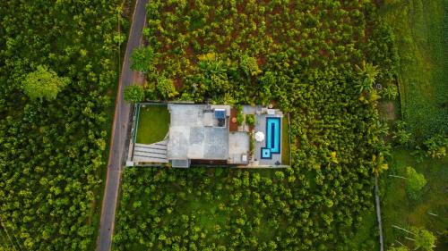 Ambalangoda Casa | Cinnamon Forest Resort - Hikkaduwa