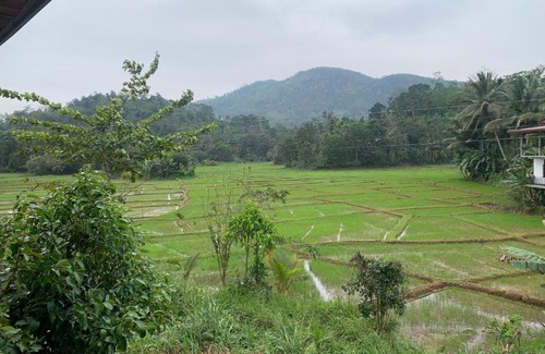 Kotapola Hotel | Cinnamon Village Sinharaja