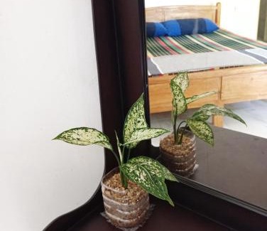 Pelena Casa | cinometra