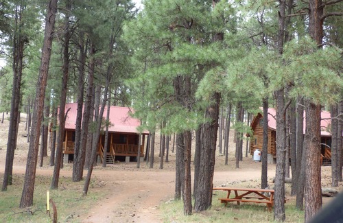 Alpine Cabina | Circle Pine Ranch- "The Real Log Cabin Experience"