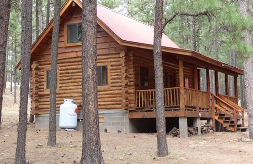 Alpine Cabina | Circle Pine Ranch- "The Real Log Cabin Experience"