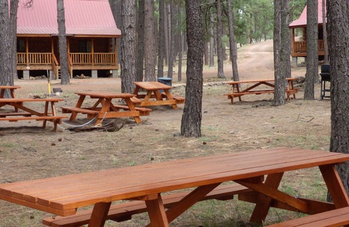 Alpine Cabina | Circle Pine Ranch-"The Real Log Cabin Experience"