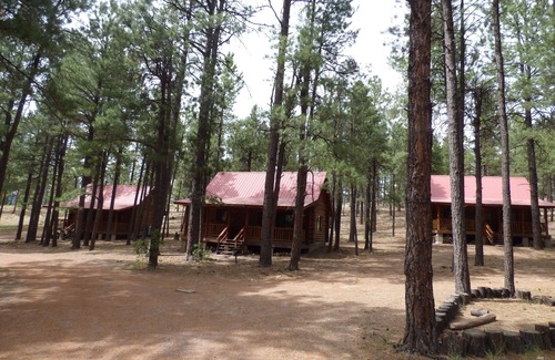 Alpine Cabina | Circle Pine Ranch-"The Real Log Cabin Experience"