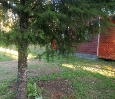 Freire Apartamento | Cisnes del tolten