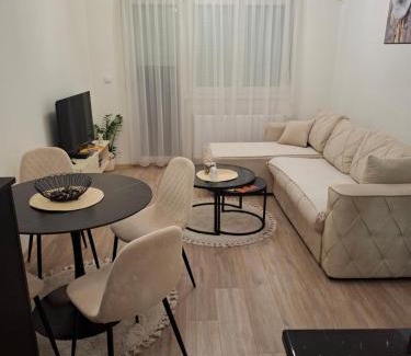 Banja Koviljaca Apartamento | Citrin