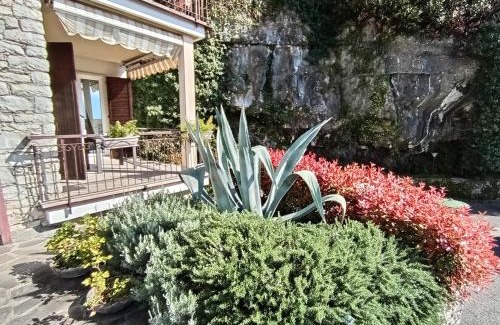 Porto Apartamento | CITRUS Apartment Brenzone