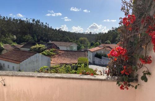 Albergaria-a-Velha Casa | Citrus Tree House, private pool and garden.
