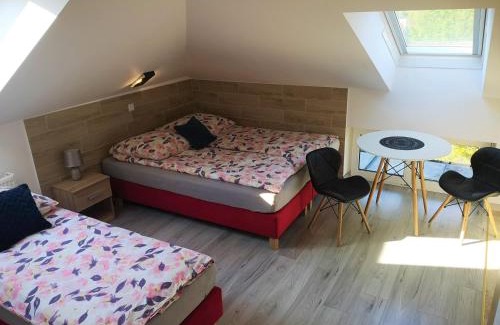 Augustow Apartamento | City Center Apartments Lofty z klimatyzacją