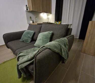 Timisoara Apartamento | City Forest - Apartament modern lângă Timișoara