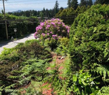 Upper Lonsdale Cama Y Desayuno | City Gardens Suites B&B