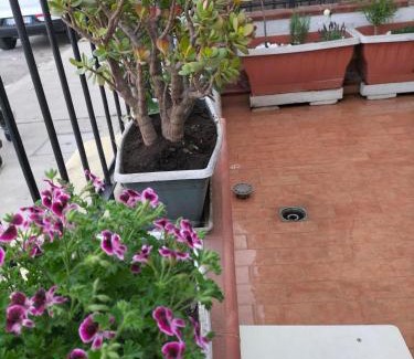 Palermo Apartamento | Ciuridda mia