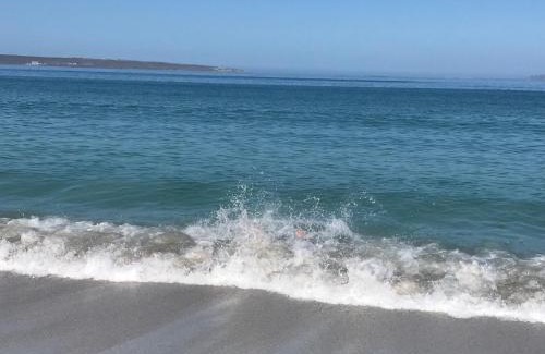 Calypso Beach Apartamento | Clam Lagoon