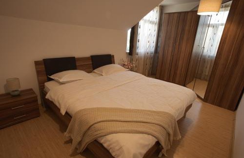 Buzau Apartamento | Classic Apartament