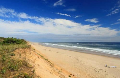 Wellfleet Casa | Classic Cape Great Location Dog Welcome